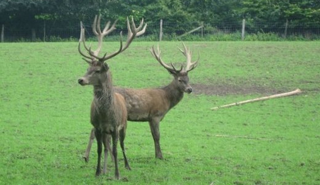 151626-f5b6faf9215acd307a8a334b1819732e