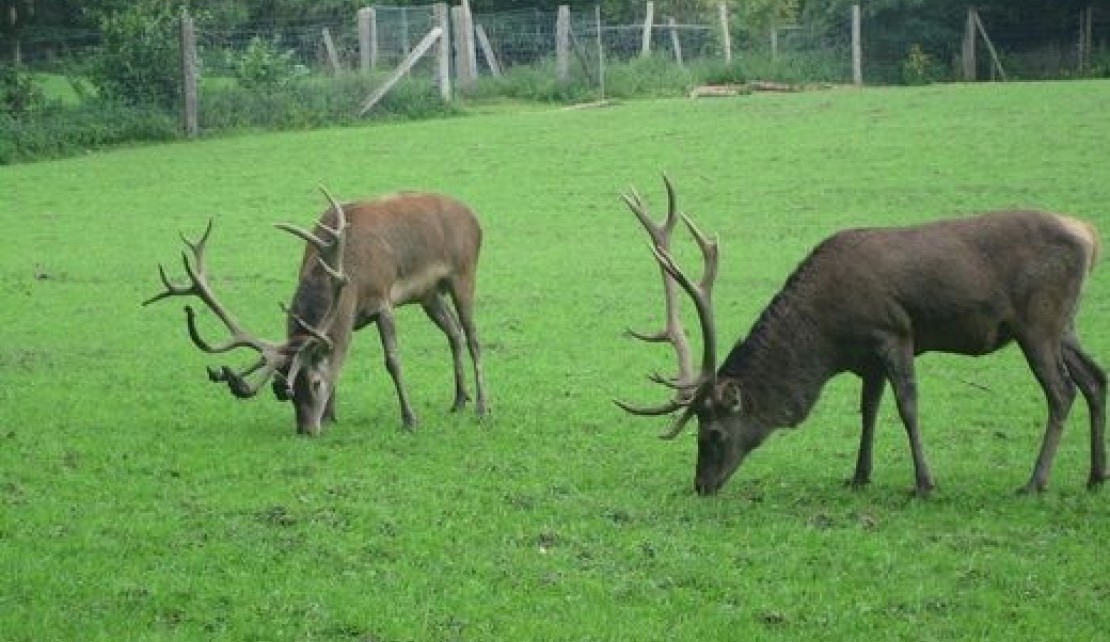 151626-f5b8596a215acd307abc66d3d9d9f5b1