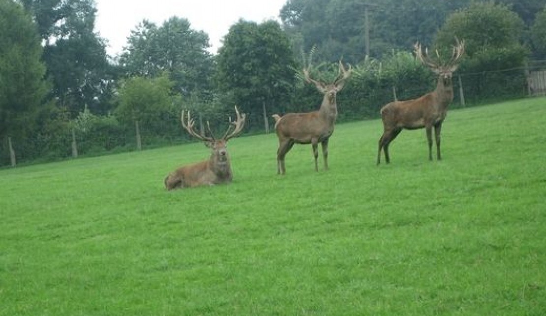 151626-f5c8df2a215acd307a06ac3cb3db9a77