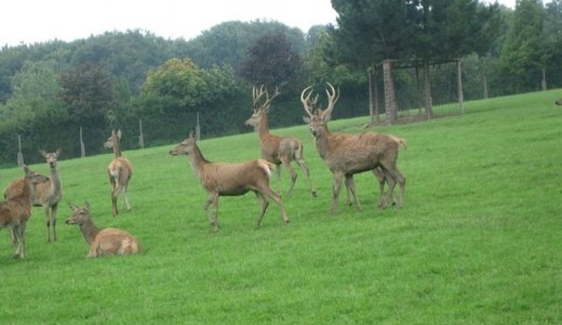 151626-f5cb8250215acd307a4e0d14fe989b74