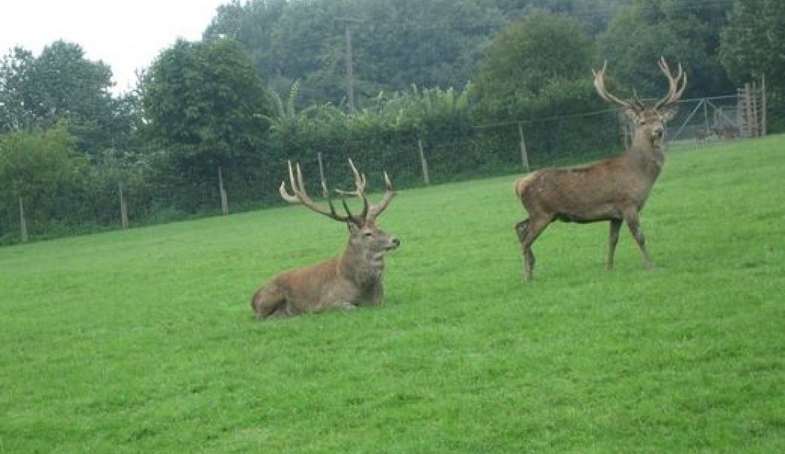 151626-f5cccb89215acd307ac864591b9e612f